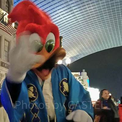 着物姿のウッディ・ウッドペッカー（2019年お正月)