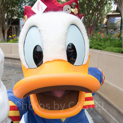 ディズニーで推し活：注意点