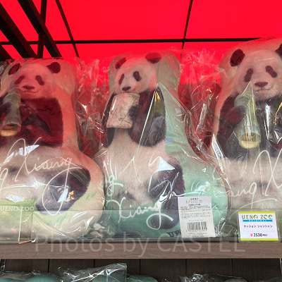 シャンシャンのクッション／上野動物園