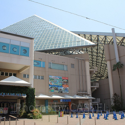 横浜・八景島シーパラダイス