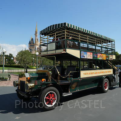 違った視点からパーク内を楽しめますよ