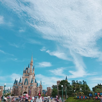 青空とシンデレラ城の青い屋根が映えますね