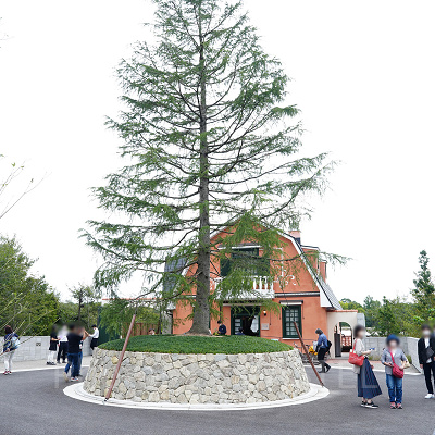 青春の丘エリア