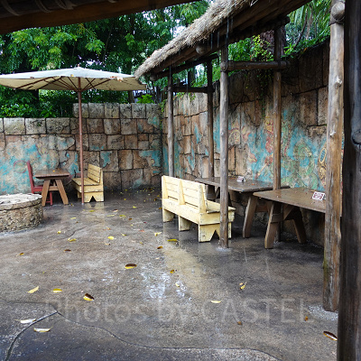 ユカタン・ベースキャンプ・グリル：古代遺跡に囲まれたテラス席