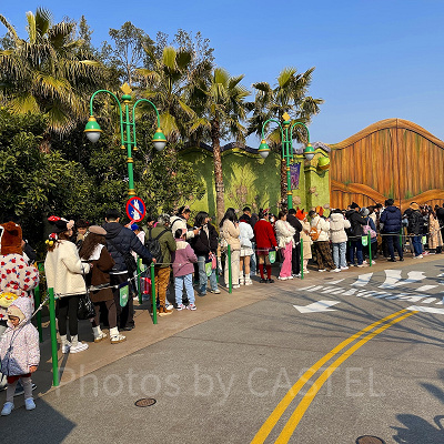 ズートピアエリア攻略：朝一番に回るのがおすすめ