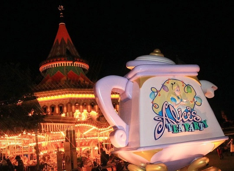 a-wonderful-attraction-even-at