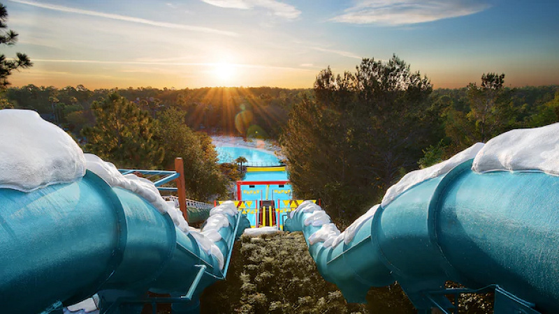 ★超レア★WDW★キャスト限定★アトラスシリーズ9of12★ブリザードビーチ★ WDW元キャストが伝授！ブリザードビーチとは？フロリダディズニーへ行