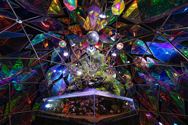 金魚ミュージアム】奈良県にある金魚をテーマにした水族館！料金、混雑