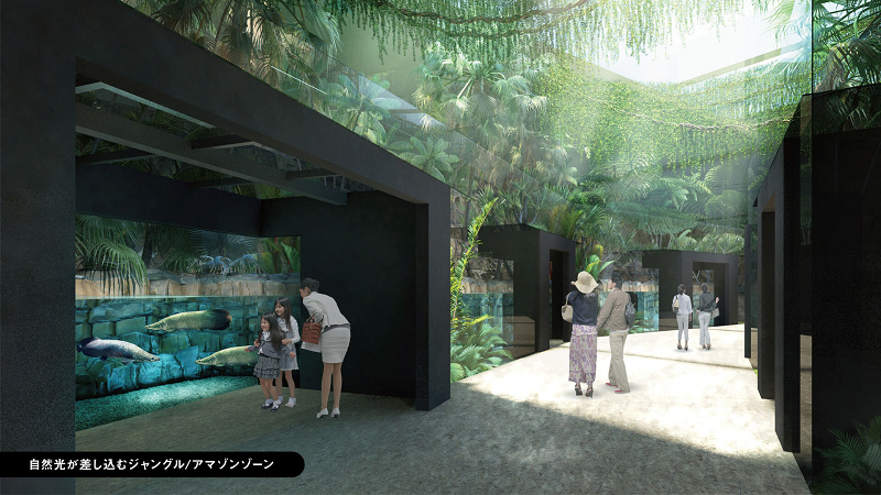 「カワスイ 川崎水族館」のチケット料金解説！時間指定の昼チケ＆夜チケも販売中！