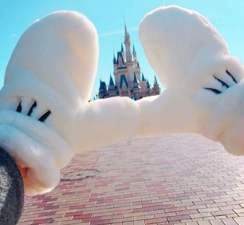 ミッキーの手のヒミツ】4本指にはワケが？ミッキーグローブフード