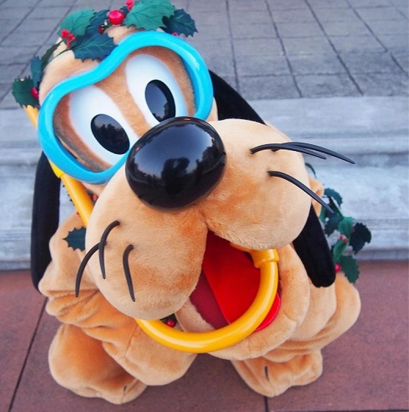 pluto-you-can-meet-in-toontown