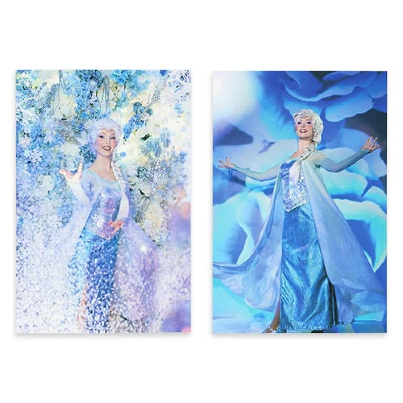 n*.様 新品 タグ付き ディズニー アナ雪 エルサ シアートップス ディズニー】『アナと雪の女王』グッズ全30種まとめ！アナやエルサが