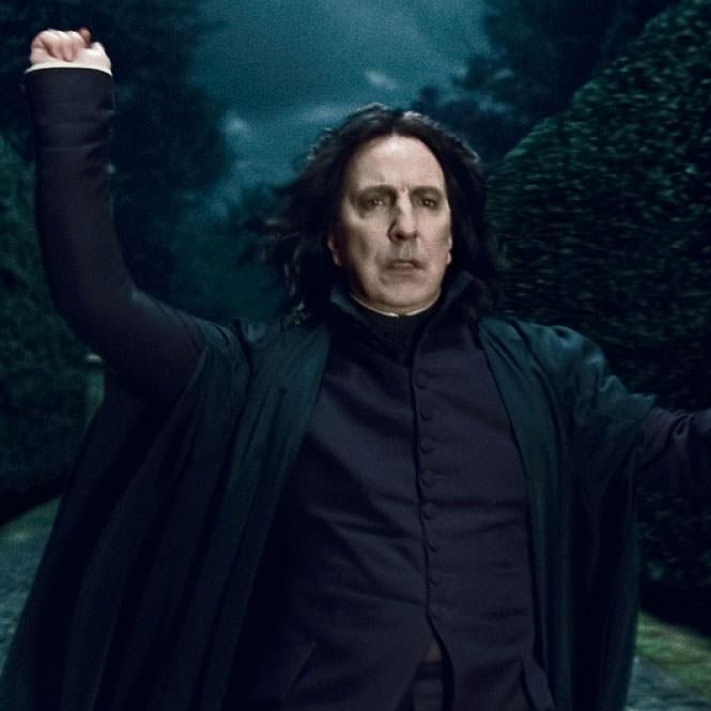 ハリーポッター セブルス・スネイプ 【公式通販】