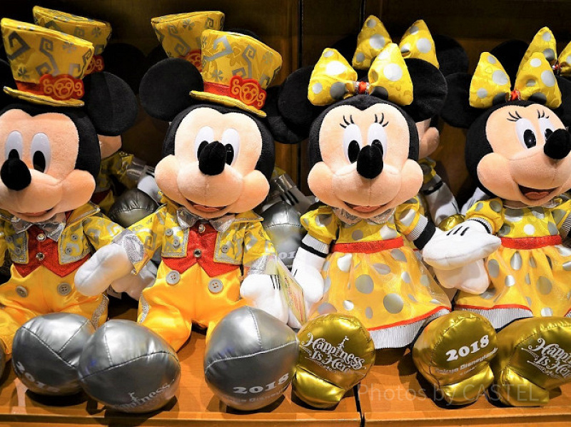 【2018】ディズニーランドおすすめグッズ・お土産一覧！35周年や期間限定も