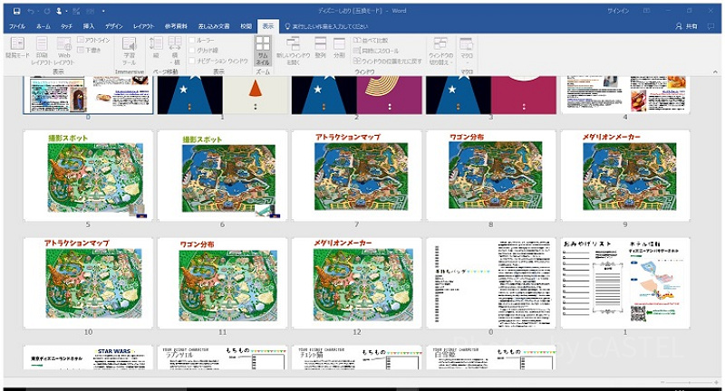 ディズニーの新しい楽しみ方！しおりを作って待ち時間を笑って過ごそう！
