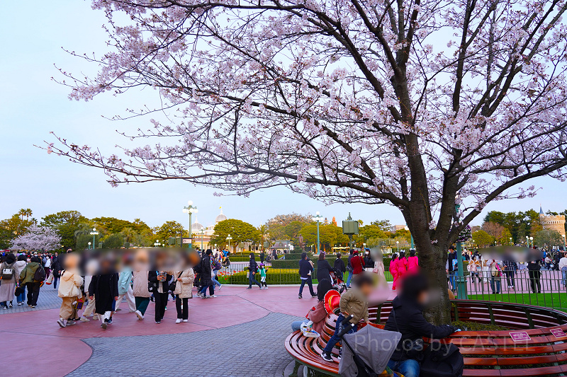 【2022年4月】ディズニーランドの混雑状況と現地レポ！アトラクション・レストラン・ショップの混雑具合は？