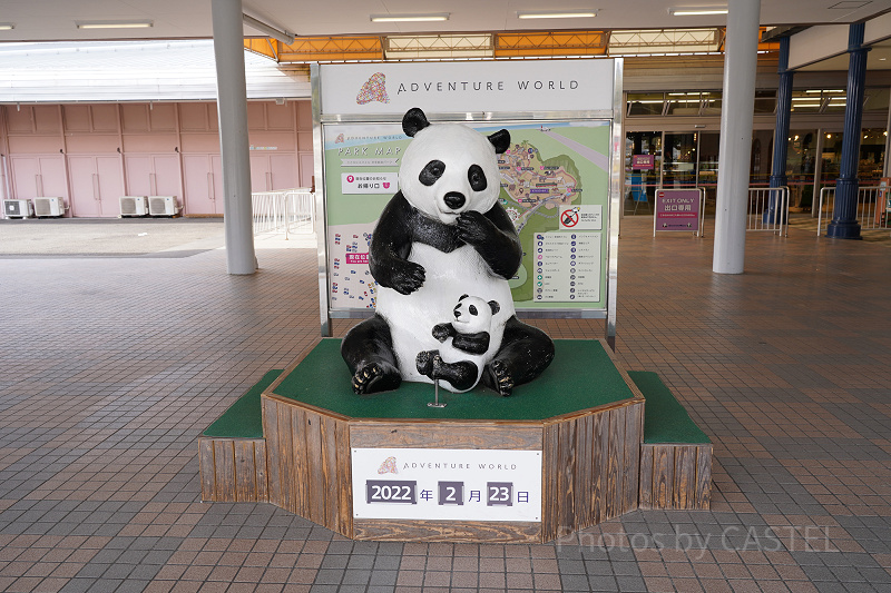 【和歌山】アドベンチャーワールド完全ガイド！基本情報とおすすめポイントまとめ！パンダがかわいい！