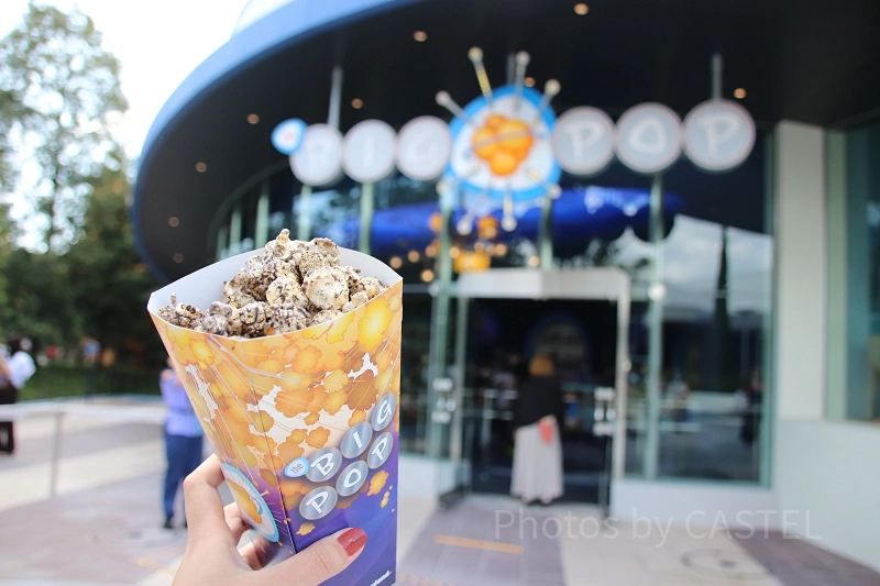 ビッグポップ】ディズニーで人気のBBポップコーンの3種の味＆バケット