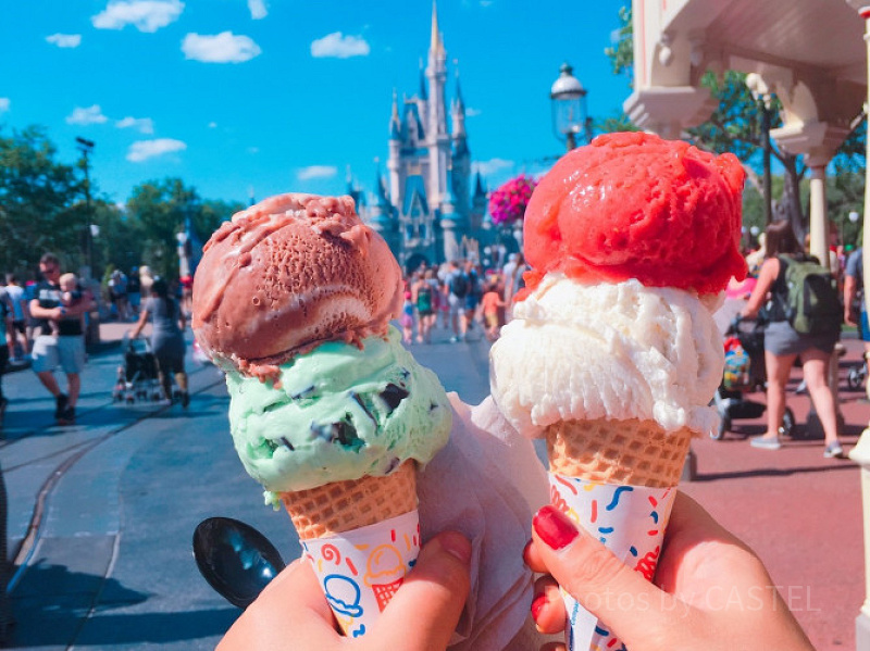 【体験談】アメリカの2大ディズニーランドどっちが良い？フロリダとカリフォルニアの場所は？