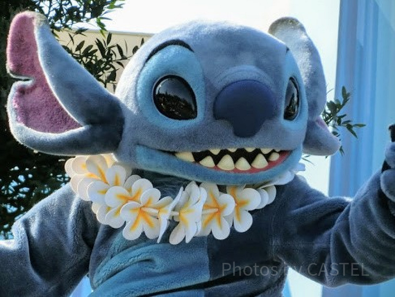 ディズニー】スティッチにたくさん会えるのはランドとシーどっち