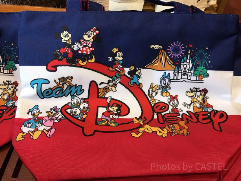 ダッフィーフレンズ ディズニークリスマス 2019 トートバッグ ダッフィーフレンズ ディズニークリスマス 2019 トートバッグ