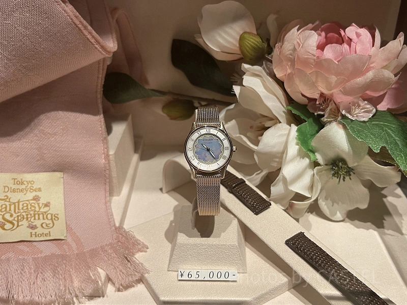 disney-watch-j40559.webp?mod=