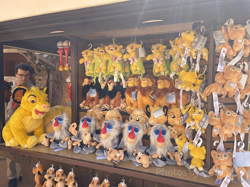 disneyland-paris-has-a-wide-