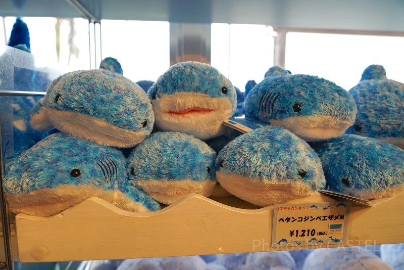 沖縄 美ら海水族館 ジンベイザメ ぬいぐるみ - ネームタグ