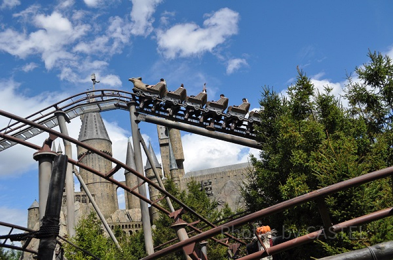 【USJ】フライト・オブ・ザ・ヒッポグリフってどんなアトラクション？怖い？身長制限、ストーリー、待ち時間など完全ガイド！