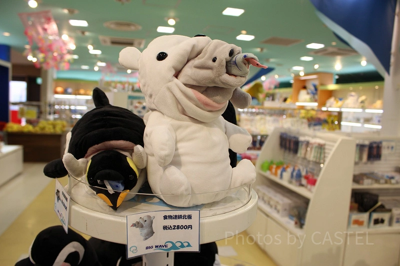 上海海昌海洋水族館 シャチ ぬいぐるみ 抱き枕 シーワールド シャチ