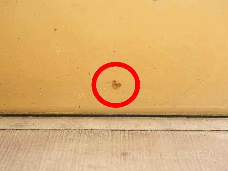 モンスターズインク　レア多数　　未使用多数　お値引き交渉◎ モンスターズインク レア多数 未使用多数 お値引き交渉◎ モンスターズ