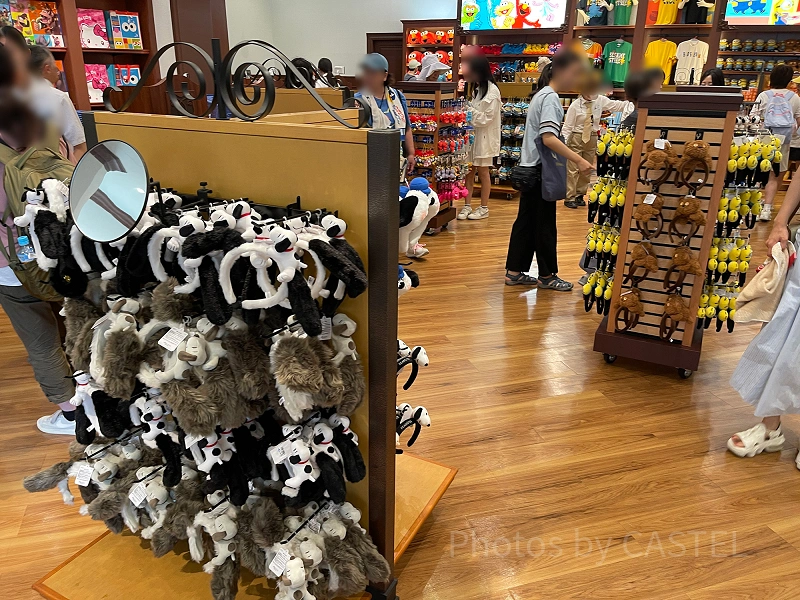 hollywood-specialty-store-