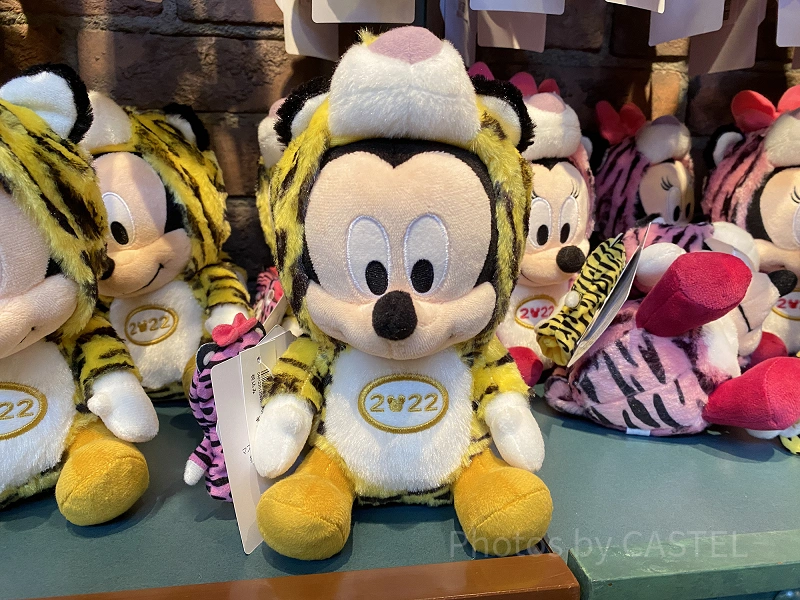 き*や様 【ケースあり】純銀製　東京ディズニーランド 開園5周年記念限定5,00 b74407fdd07d940f122f9e17d81d33