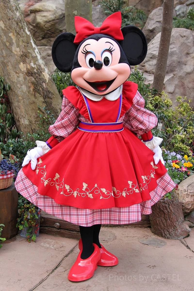 ディズニー ストラップ レア　5個セット ディズニーシー 10周年ストラップセット 5個入り ストラップ TDR