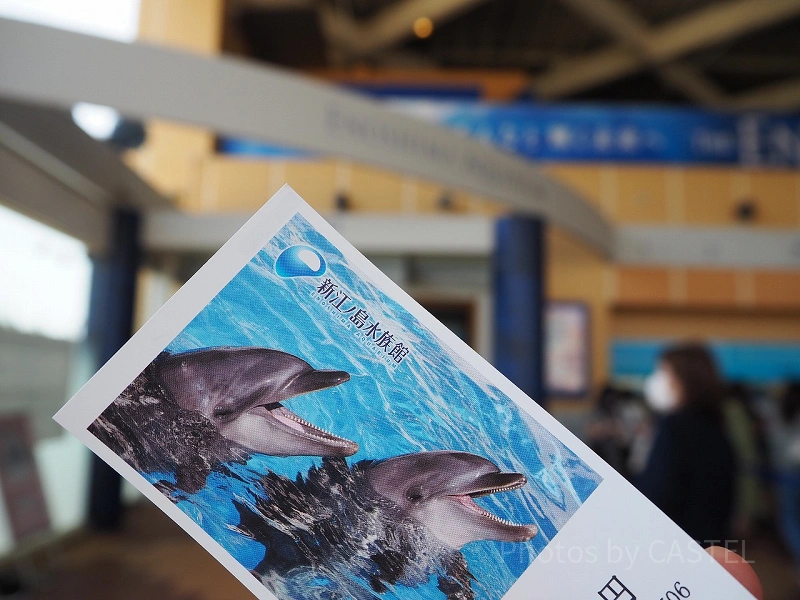 ◆オーダー用◆ダイカット イルカショー 水族館 潜水艦 新江ノ島水族館のイルカショーを解説！大ジャンプが迫力満点！見どころ
