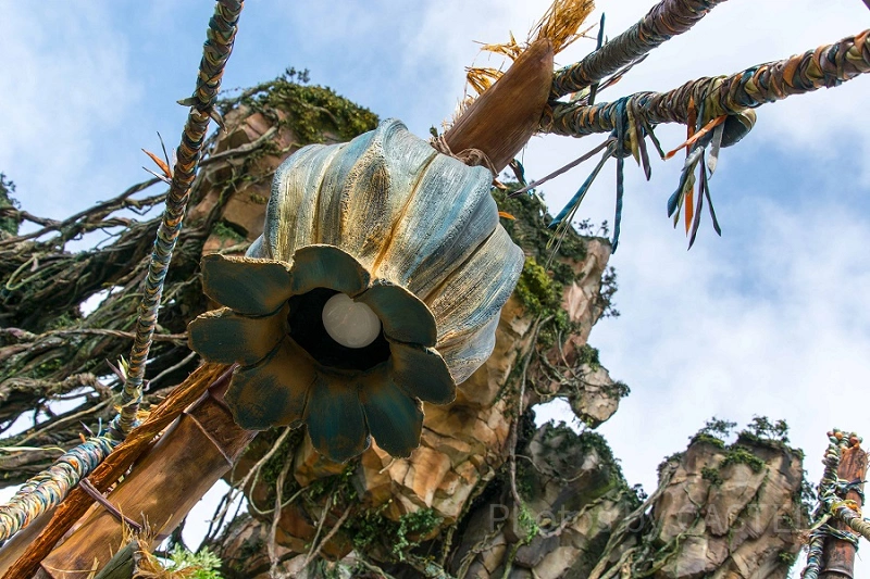 フロリダディズニーワールド　パンドラザワールドオブアバター　ヴェインポッド PANDORA – THE WORLD OF AVATAR (2025) All You MUST Know