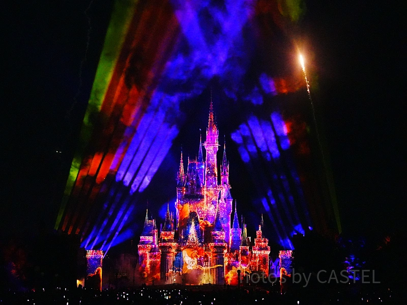 2025】ディズニーランドのショー全種類一覧！鑑賞方法、場所