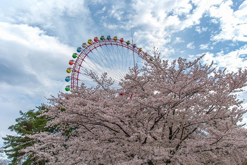 【2019】西武園ゆうえんち徹底解説！チケット料金・アトラクション・イベント・ショップまとめ！