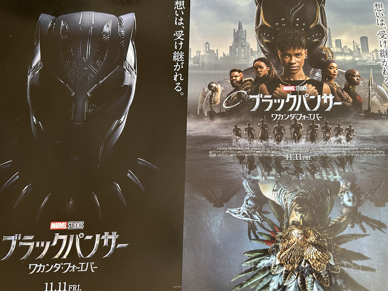 映画『ブラックパンサー/ワカンダ・フォーエバー』をネタバレ解説！ティチャラの遺志を継ぐのは誰？