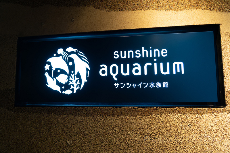 サンシャイン水族館まとめ！営業時間・料金・アクセス・見どころ・イベント・ショップ情報