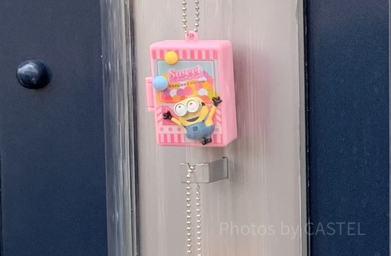 sweet-surrender-motif-keychain