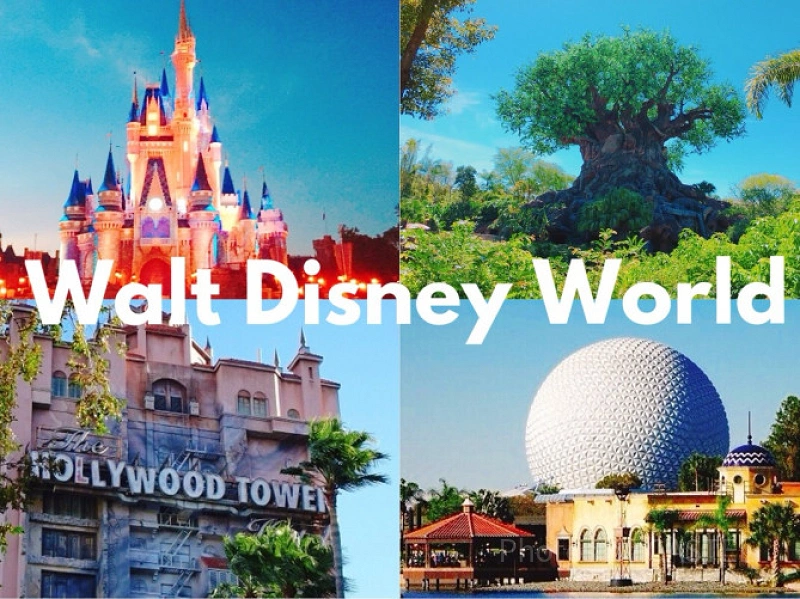 WDW】フロリダディズニー4大パーク徹底解説！おすすめの回り方＆楽しみ