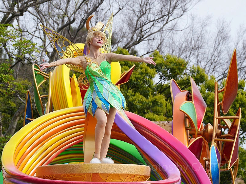 what-is-disney-harmony-in-