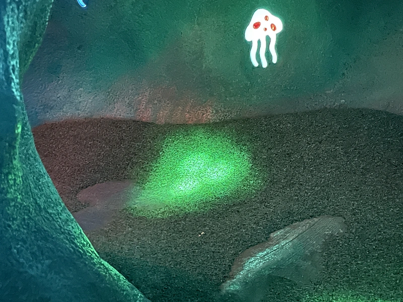 マーメイドラグーンの隠れミッキー10選 場所や探し方のヒントを紹介