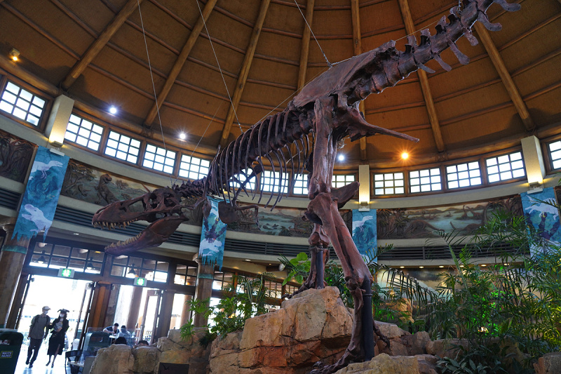 Usj 恐竜グッズ専門ショップ ジュラシック アウトフィッターズ を徹底解説 みどころや場所も