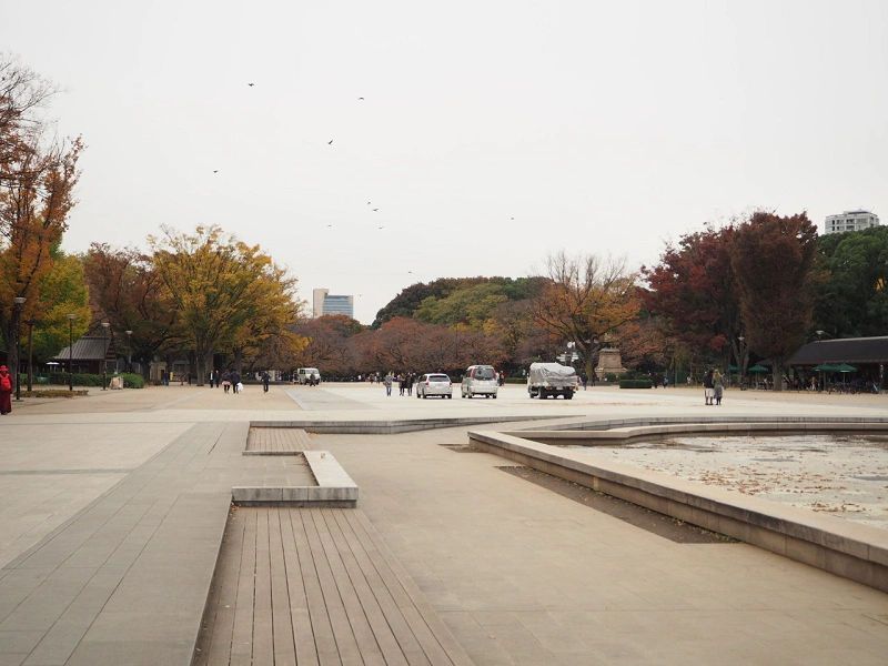 22 上野動物園の混雑解説 春休み Gw 夏休み 冬休みの混雑状況 回避方法まとめ