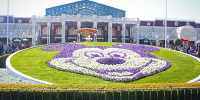 【ディズニーランド】赤ちゃんと一緒に最大限楽しむためのポイント6つ！