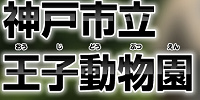 神戸市立王子動物園| キャステル | CASTEL ディズニー情報