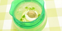ぷかぷか★オオサンショウウオレモネード| キャステル | CASTEL ディズニー情報