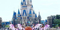 どっちのパークに行く？| キャステル | CASTEL ディズニー情報